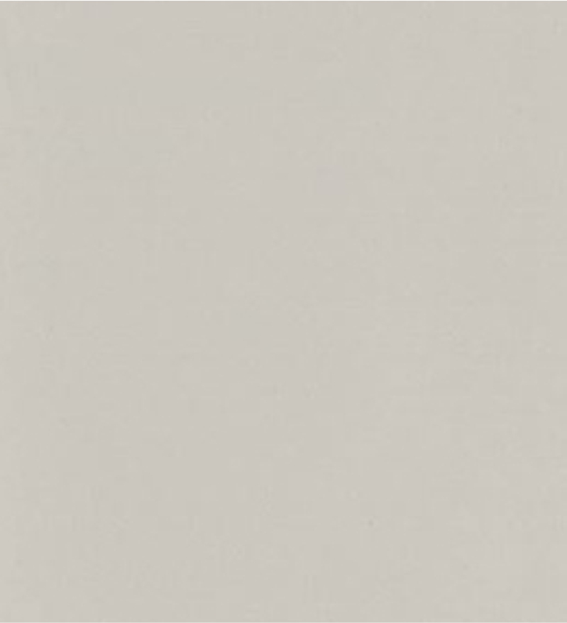 0036 Beige opaco