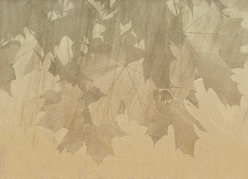 CREATIVE LEAVES (1mq)